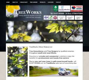 Web Design Haverfordwest Wales
